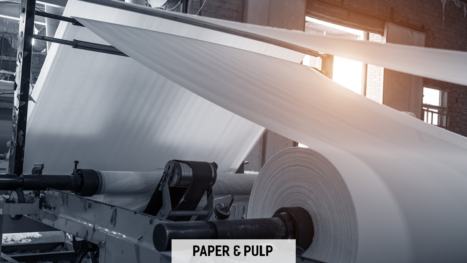 paper & pulp
